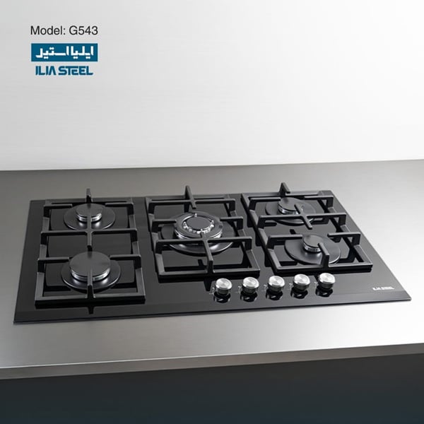 اجاق گاز ایلیا استیل مدل G-543 1
